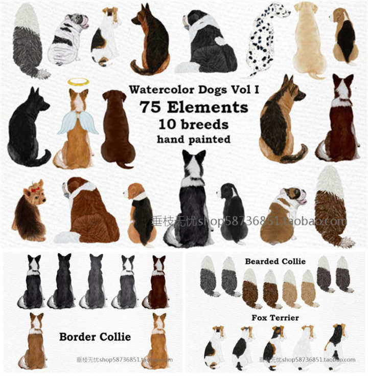 P0731高清PS设计素材 水彩手绘狗狗牧羊犬斑点狗插画png