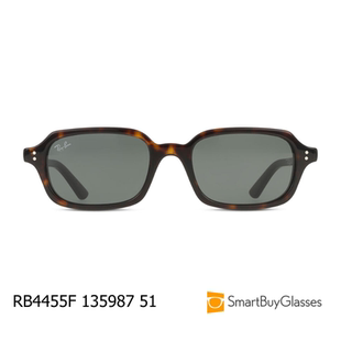 雷朋墨镜rayban复古玳瑁方框太阳镜男女时尚墨镜RB4455F