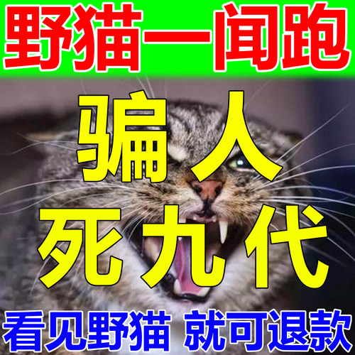一放猫就跑】驱猫神器