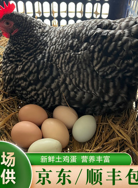 晓玲农场正宗散养土鸡蛋