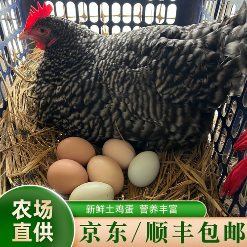 晓玲农场正宗散养土鸡蛋