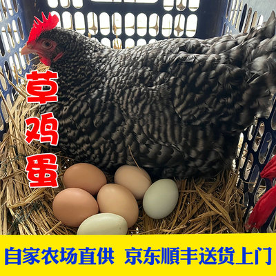 晓玲农场正宗散养土鸡蛋