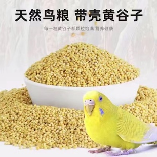 新黄谷子带壳小米虎皮牡丹玄凤鹦鹉文鸟五色黍子鸟粮鸟食饲料