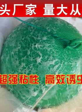 柑橘球板诱虫针蜂大实蝇