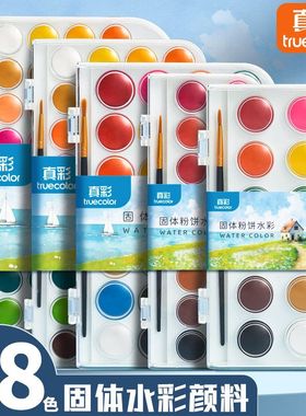 真彩固体水彩颜料套装水彩全套工具美术48色初学儿童绘画水粉粉饼