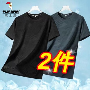 圆领短袖 运动上衣体恤衫 夏季 透气半袖 薄款 啄木鸟速干冰丝T恤男士