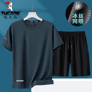 啄木鸟速干运动套装夏季薄款弹力跑步健身速干衣男士冰丝网眼短袖