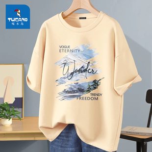 重磅短袖 宽松潮流百搭衣服纯棉半袖 t恤男士 夏季 女 新款 啄木鸟美式