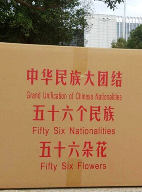 云南56个少数民族 幼儿园用品特色装饰品 9818民族娃娃