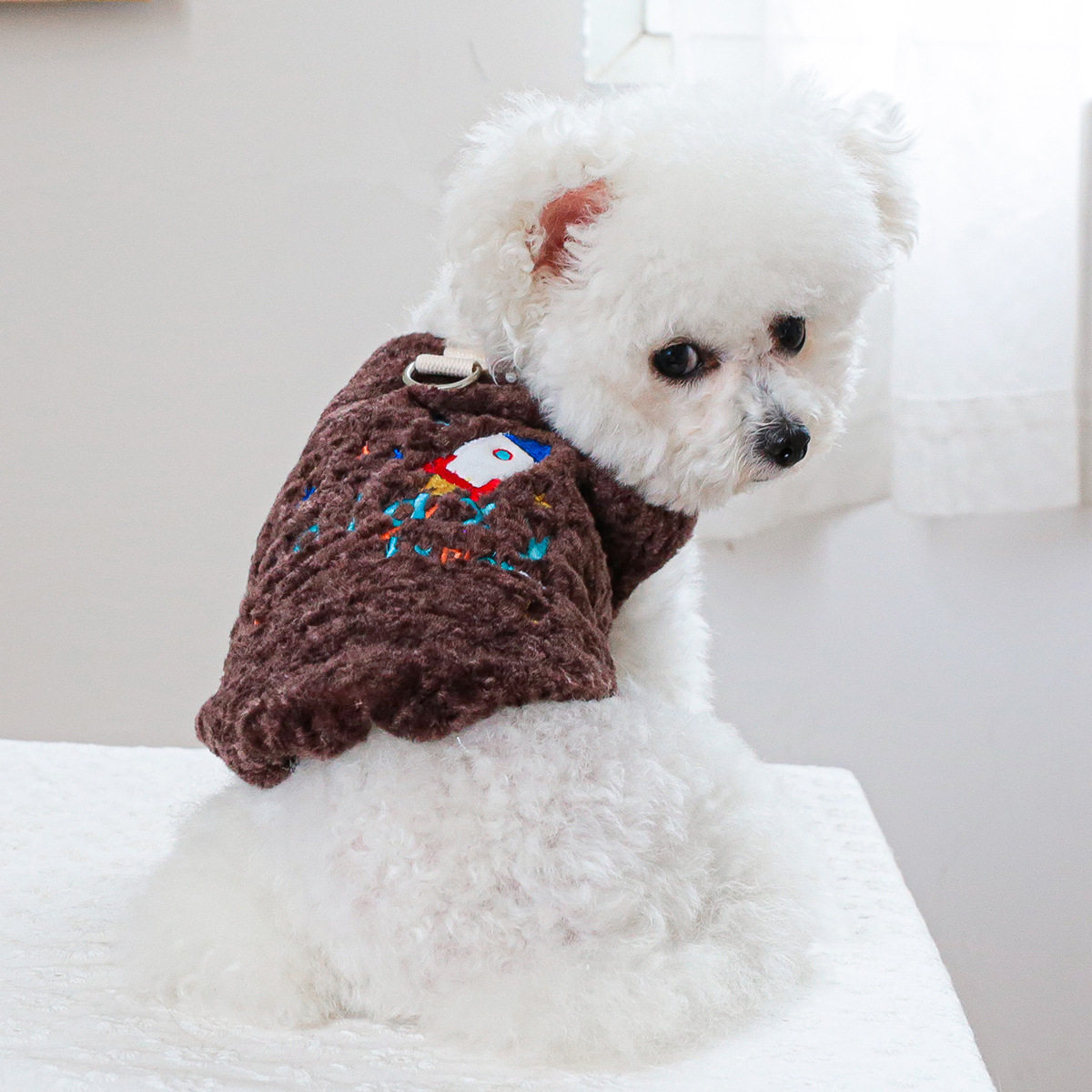 宠物服装宠物小狗猫咪衣服小型犬