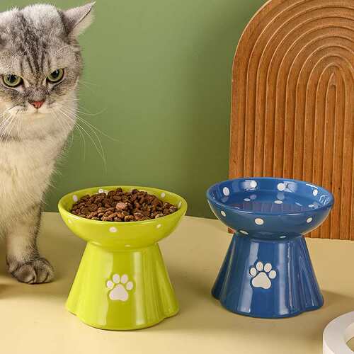 猫碗陶瓷保护颈椎猫食盆防黑下巴高脚猫碗架子猫咪泰迪狗碗宠物碗