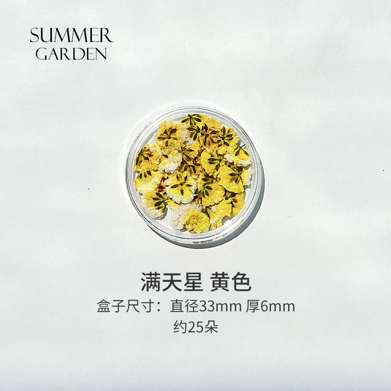 SummerGarden 美甲装饰diy手工盒装干花押花首饰耳饰配件