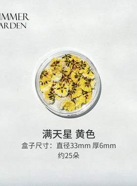 盒装干花押花美甲装饰