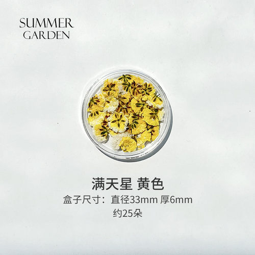 盒装干花押花美甲装饰