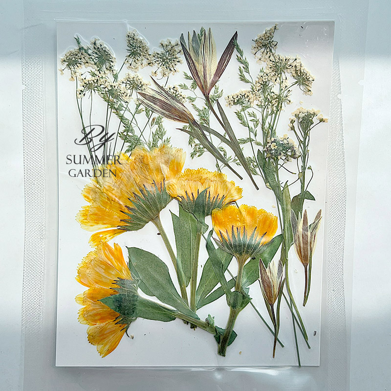 组合押花压花包真花植物标本水晶滴胶杯垫钥匙扣diy材料填充封入