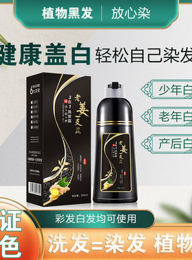 热卖老姜一支黑植物染发剂黑色泡泡染天然生姜染发膏一洗就黑