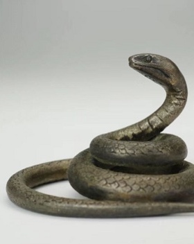 義章的银蛇，材料为纯银，栩栩如生，来货的时候我都被吓了一跳