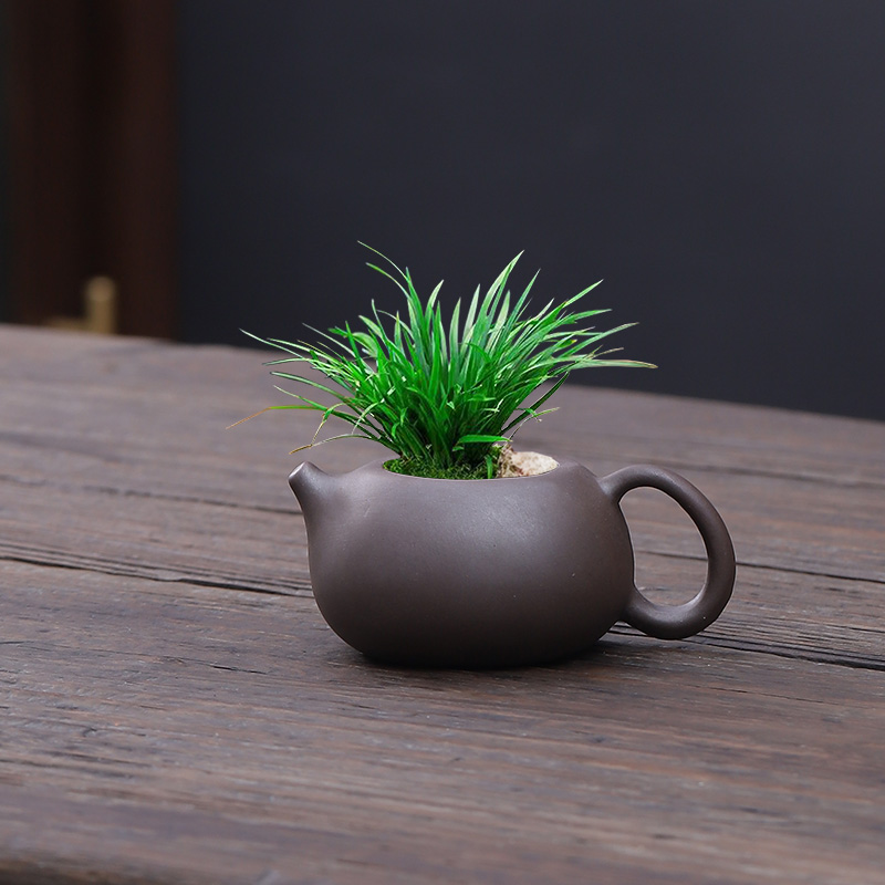 中式把把壶小花盆菖蒲苔藓桌面绿植铁树幸运草微型小盆四叶草盆栽