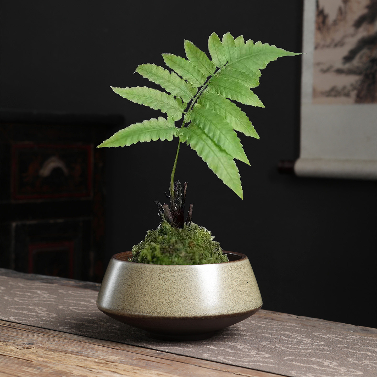中式花盆花器插花器皿陶瓷一叶莲钵碗绿植蕨类创意无孔水培文竹盆