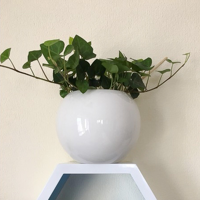 无孔圆形花盆陶瓷水栽培盆绿萝盆简约圆球盆储水花盆大植物器皿
