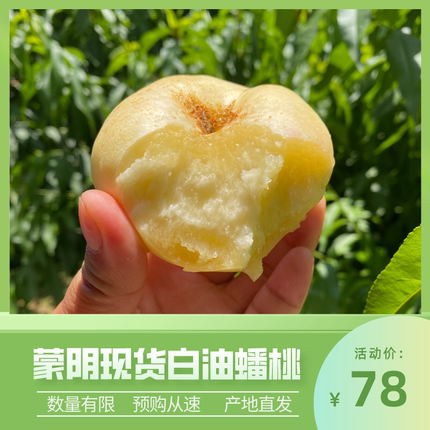 现货蒙阴蜜桃蟠桃纯甜新鲜水果应季白油蟠桃顺丰包邮