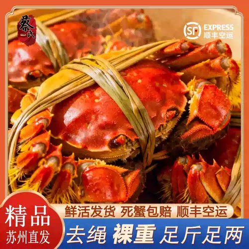 活蟹大螃蟹鲜活现货螃蟹礼盒中秋国庆企业团购送礼水产家庭聚餐