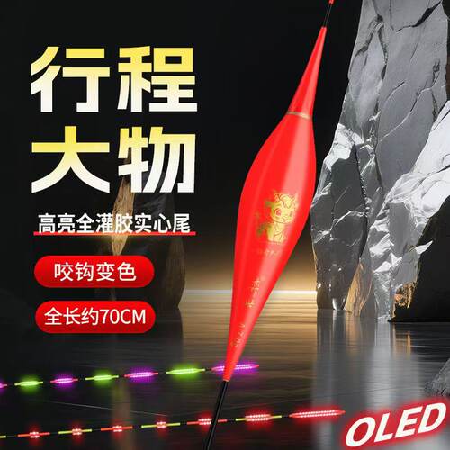 千禧龙咬钩变色夜光电子漂日夜两用翘嘴行程漂LED