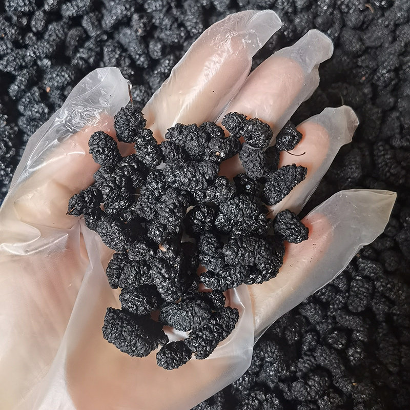 买1送1桑葚干精选大颗粒黑桑葚泡水即食桑椹干果干净无沙黑色食品