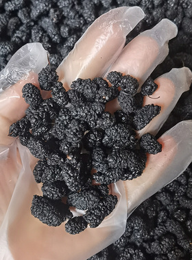 买1送1桑葚干精选大颗粒黑桑葚泡水即食桑椹干果干净无沙黑色食品