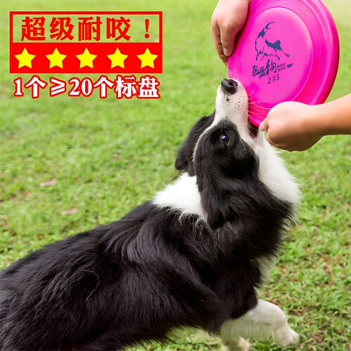飞盘狗五星超级耐咬盘
