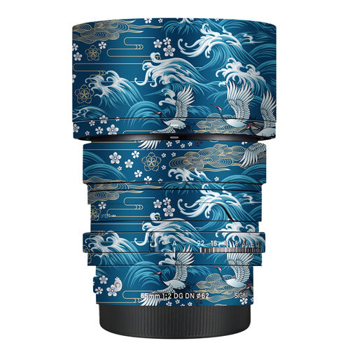 65F2DGDN镜头保护贴膜