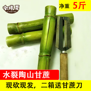 《水裂甘蔗净重5斤》陶山甘蔗青皮l榨汁应季新鲜水果果汁煲汤冷