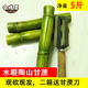 陶山甘蔗青皮l榨汁应季 水裂甘蔗净重5斤 新鲜水果果汁煲汤冷
