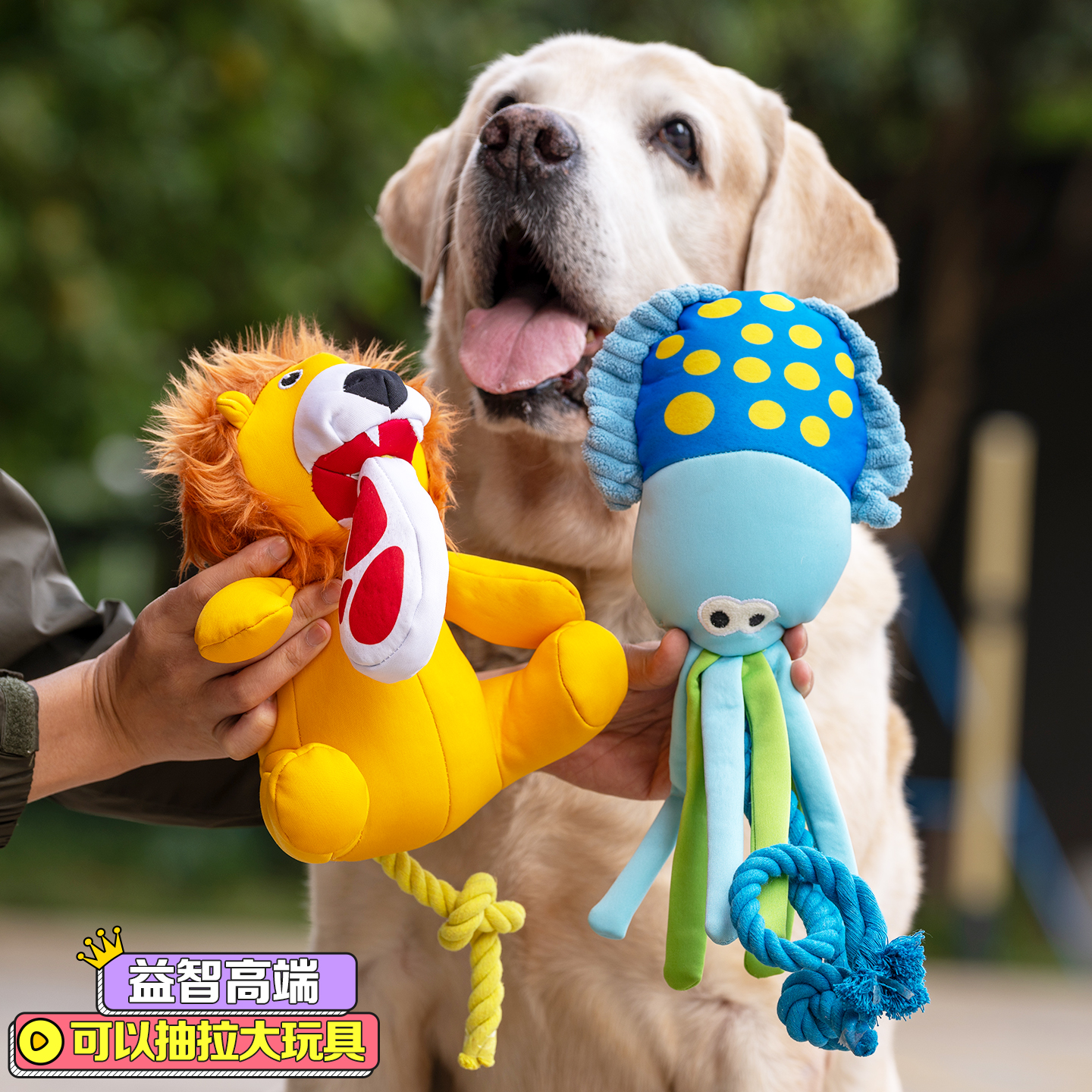 宠物狗玩具抽拉发声拔河互动棉绳帆布耐咬小中大型犬解闷训练陪伴