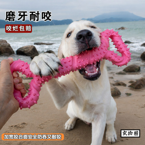 宠物大狗玩具加大号实心耐咬互动拉布拉多金毛中大型犬洁齿磨牙棒