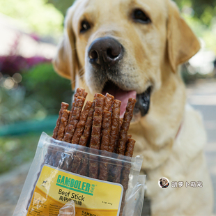 乖宝乐 高钙牛肉棒幼犬磨牙大狗训练宠物零食牛肉拉布拉多狗零食