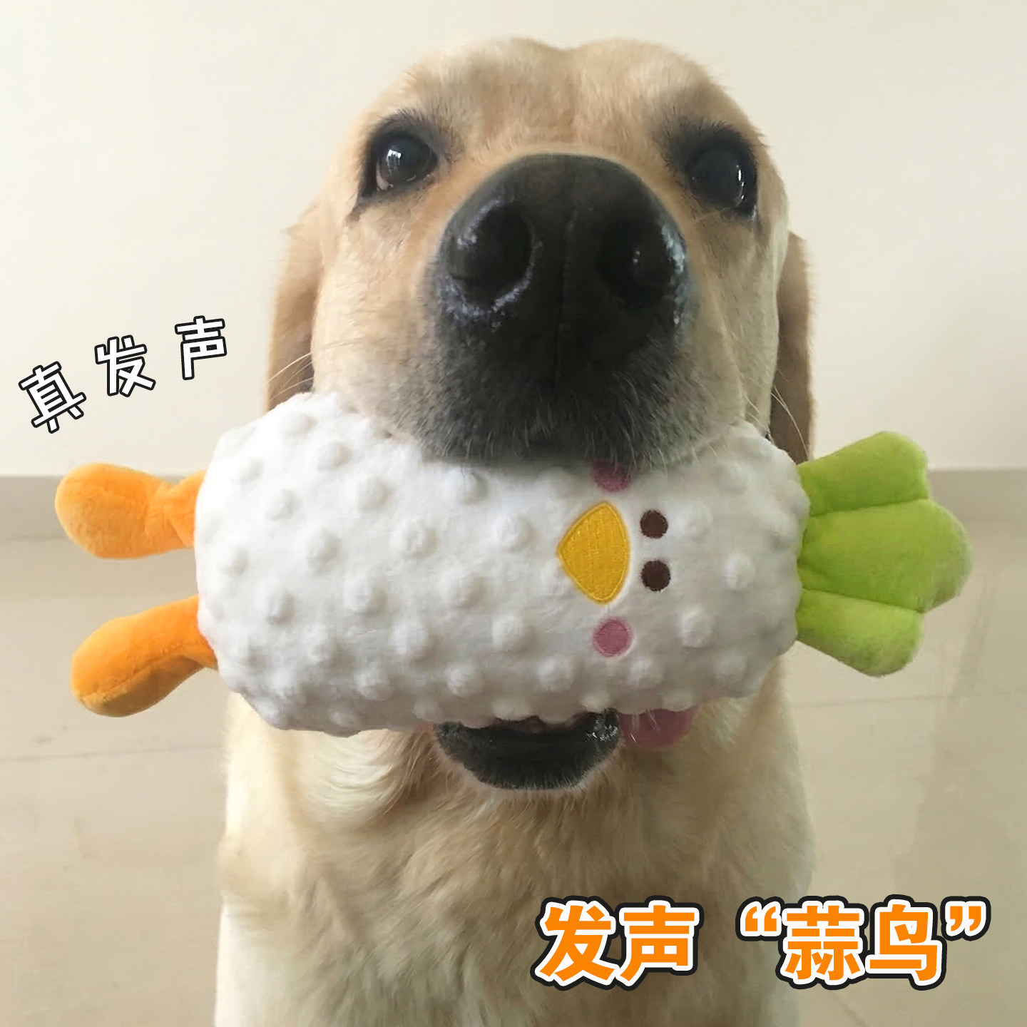 宠物狗可爱毛绒布偶玩具蒜鸟耐咬发声大中小型犬陪伴互动拉布拉多