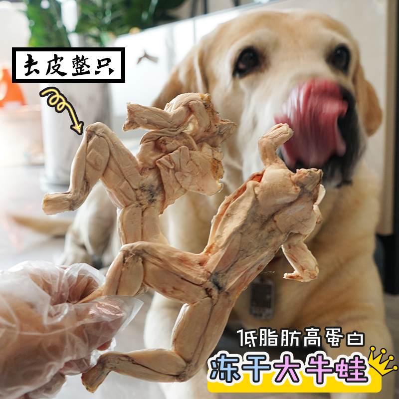 妙三鲜大号肉多冻干牛蛙约15只