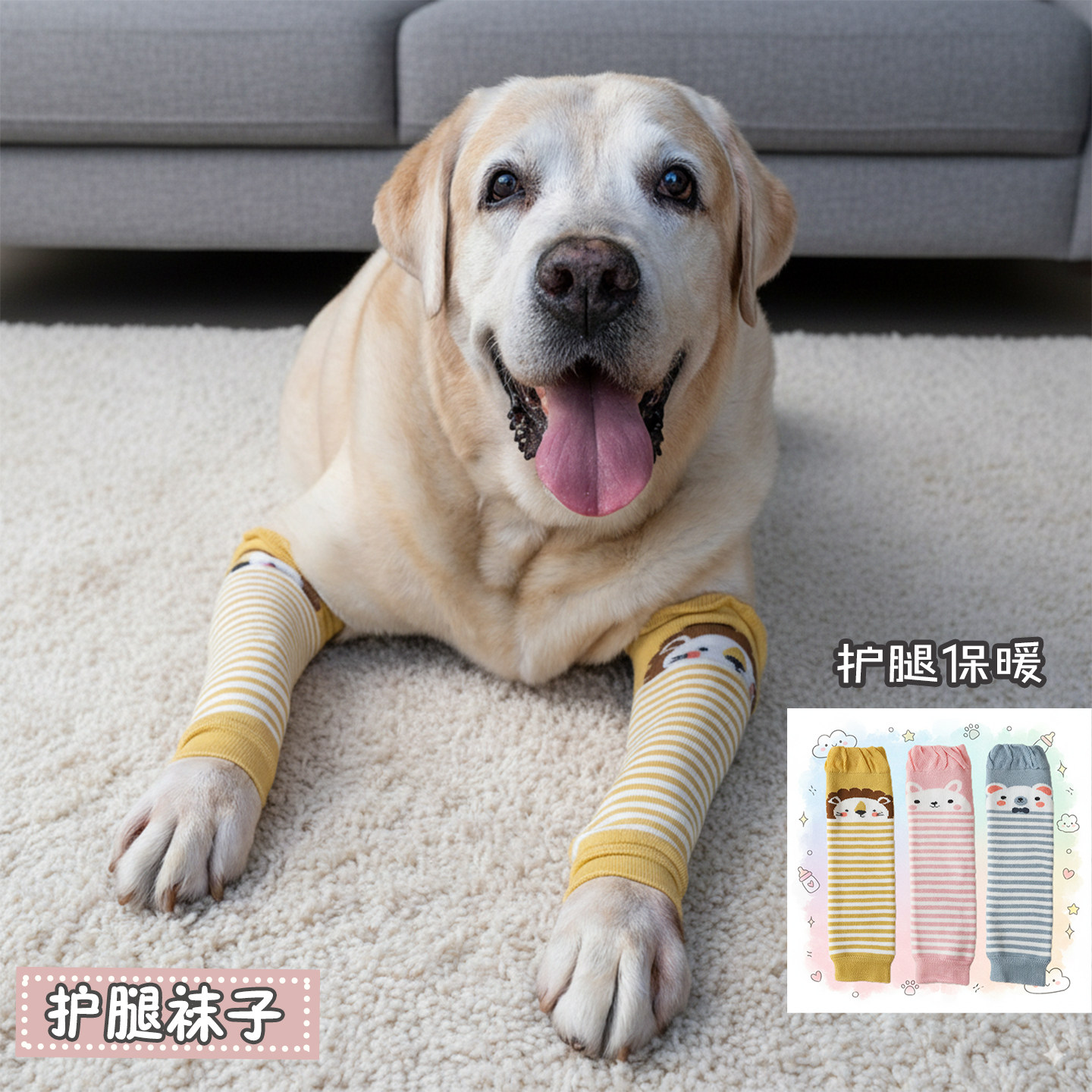 宠物狗中大型犬护腿护肘护关节保护袜子四季通用拉布拉多金毛袜套