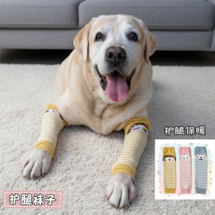 宠物狗中大型犬护腿护肘护关节保护袜子四季通用拉布拉多金毛袜套