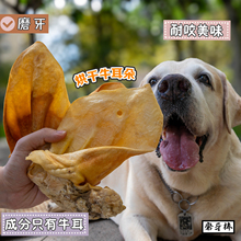 狗狗磨牙棒洁齿耐咬牛耳朵宠物幼犬拉布拉多金毛大狗耐咬牛骨零食