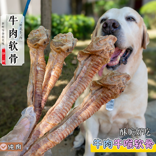 宠物狗零食冻干牛喉管洁齿耐咬软骨磨牙骨头幼成犬大中小型 3根装