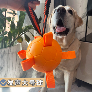 宠物狗玩具足球耐咬发声球大小型犬训练互动益智解闷自嗨球拉扯球