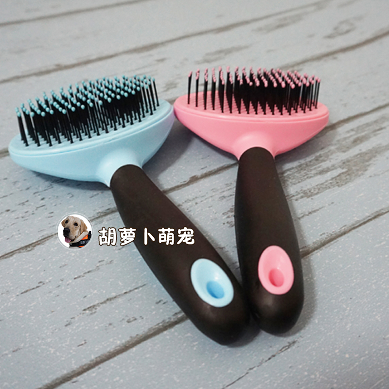 小中金毛拉布拉多猫洗澡美容针梳
