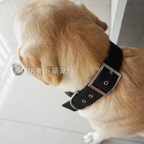 宠物脖圈拉布拉多金毛德牧项圈狗圈颈圈中型犬大型犬加厚脖套包邮 - 封面
