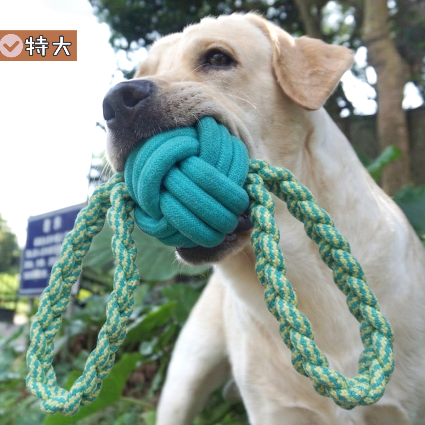 特大号宠物狗玩具棉绳耐咬洁齿互动拔河中大型犬大狗玩耍解闷自嗨