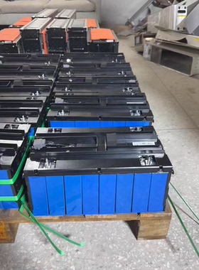 瑞驰EC35Ⅱ国轩63Ah国轩126安磷酸铁锂动力电池模组 2并8串模组