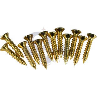 Kluson KCTMSC P Tuning Machine KTMSG弦钮螺丝吉他拾音器螺丝