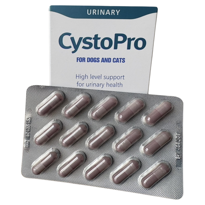 英国CystoPro沙斯多保犬猫通用治疗膀胱炎尿路细菌感染 总代授权,宠物/宠物食品及用品,猫狗通用营养膏,淘宝优惠券,粉丝福利购,淘宝优惠卷