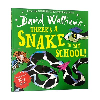 英文原版大卫幽默绘本预售